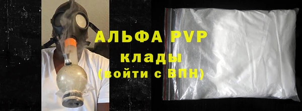 тгк Новозыбков