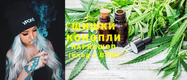 тгк Новозыбков