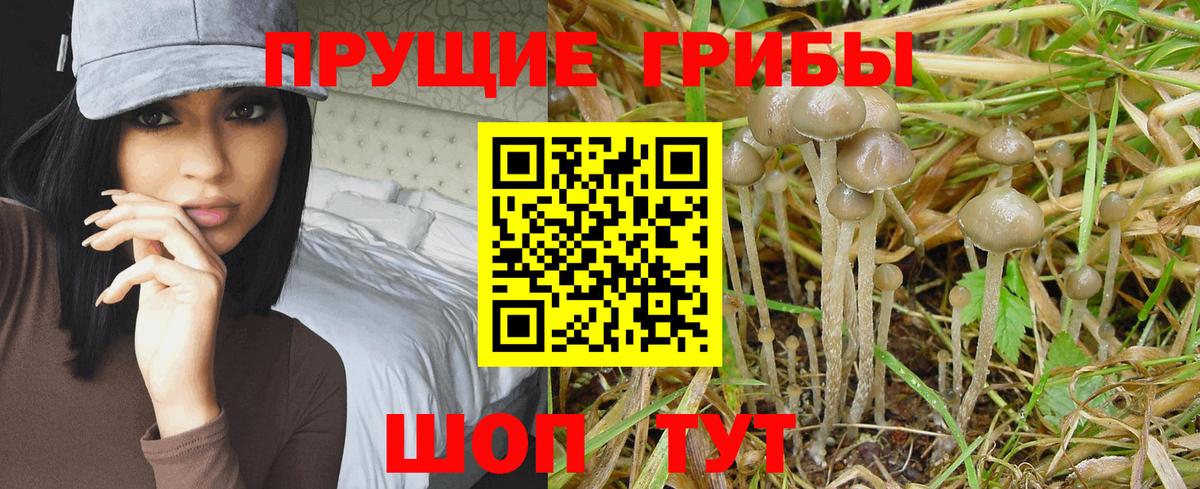 МДМА  МЕФ   Мефедрон кристаллы  Codein  Борисоглебск  МЕТ  COCAIN  ГАШИШ  Канабис 