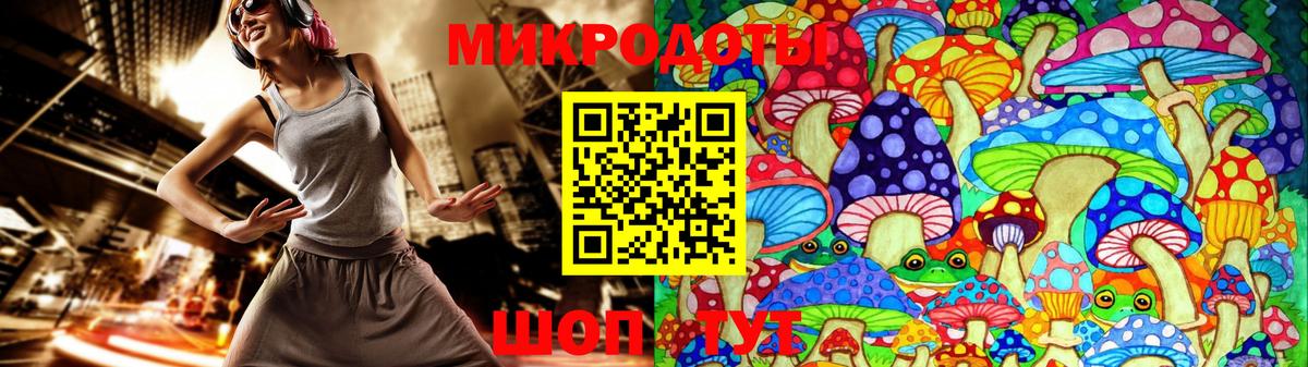 Псилоцибиновые грибы Psilocybine cubensis  Борисоглебск 