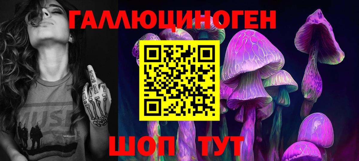 Галлюциногенные грибы прущие грибы Борисоглебск