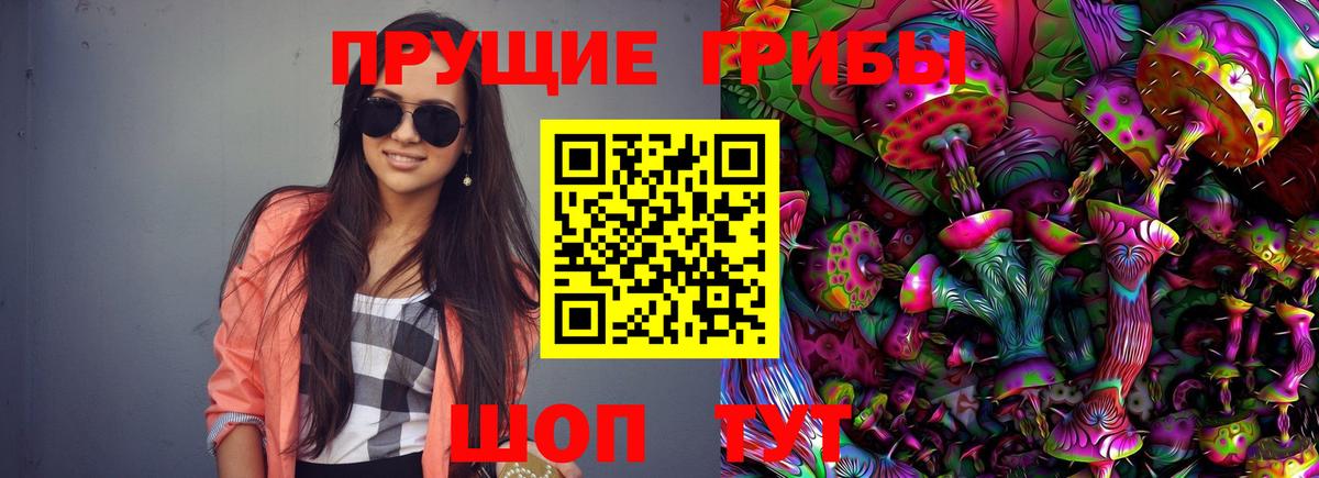 Галлюциногенные грибы прущие грибы Борисоглебск