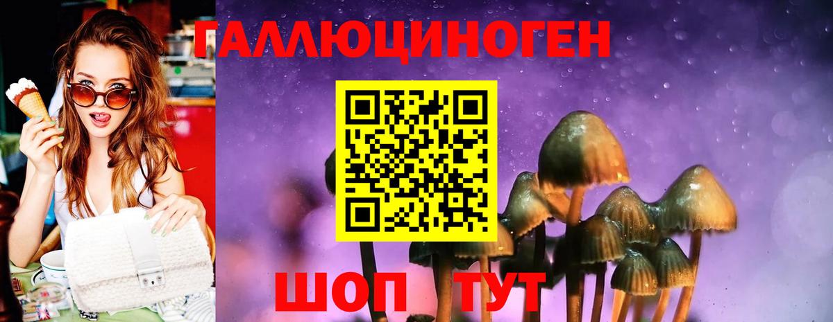 Галлюциногенные грибы Magic Shrooms  цена наркотик  Борисоглебск  Вход с VPN  Псилоцибиновые грибы Cubensis 